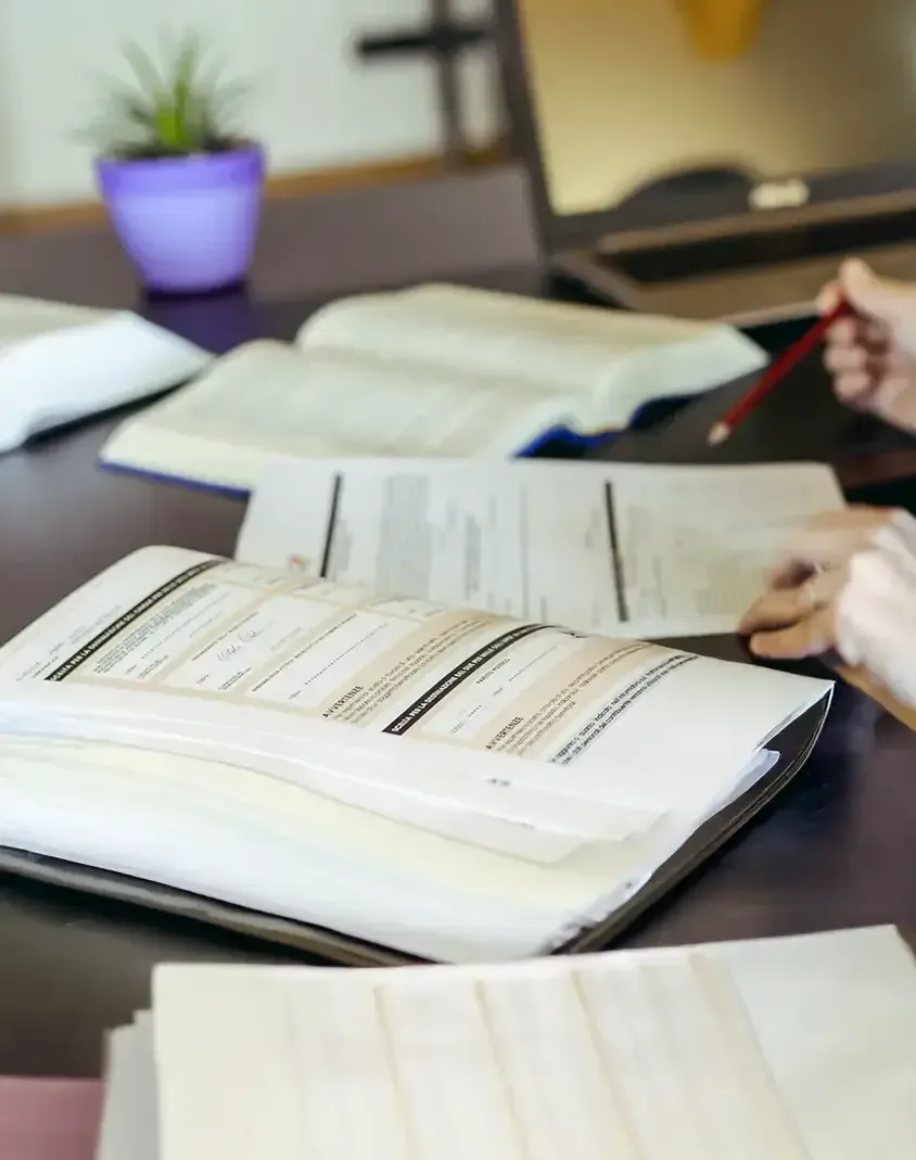 consulenza libri contabili 